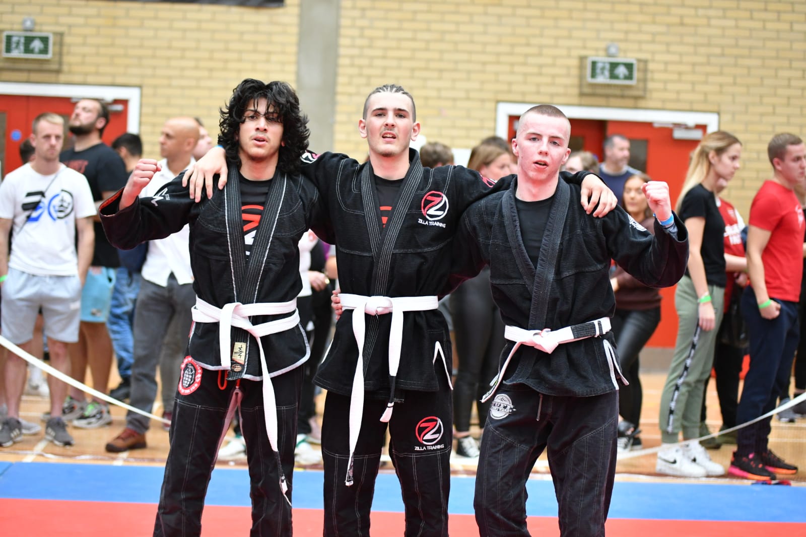 BJJ Submissions