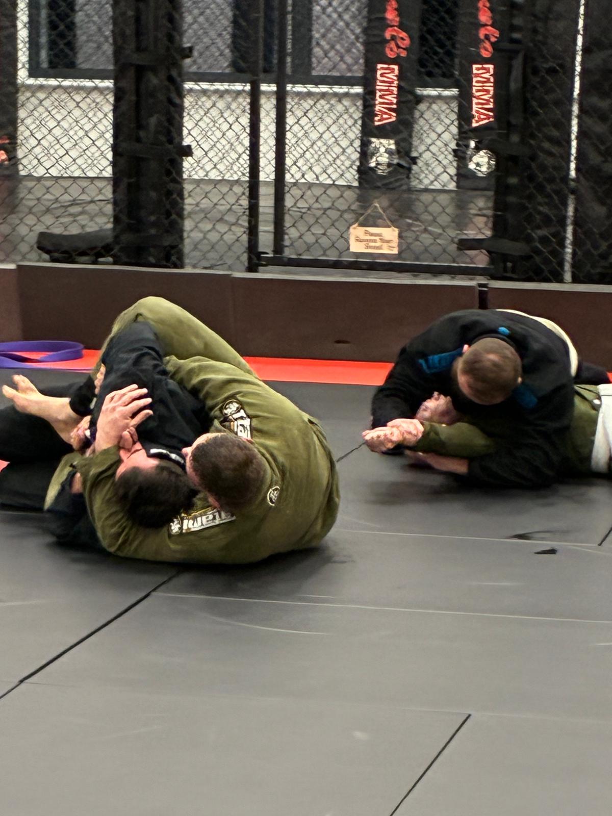 BJJ Positions
